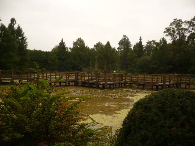 arboretum 2011_1